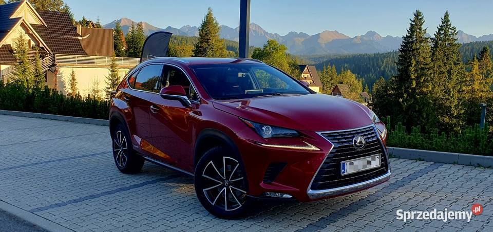 Piękny LEX PoLIFT Hybryda Gwarancja ASO Nowy Sącz