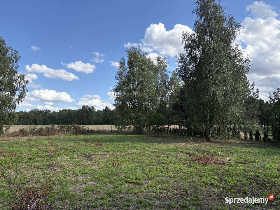 działka budowlana 3001 m plan miejscowy Anielin Swędowski