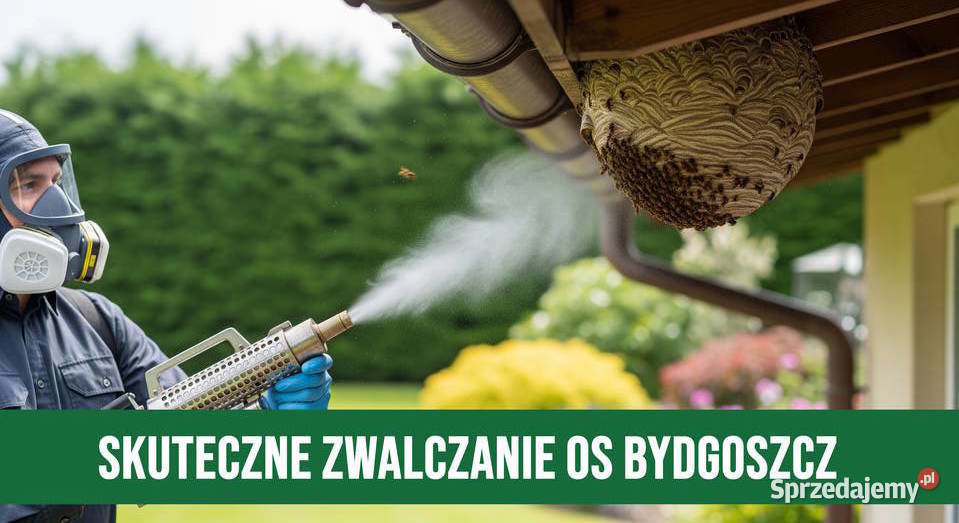 Zwalczanie Os Bydgoszcz Usuwanie Gniazd kujawsko-pomorskie