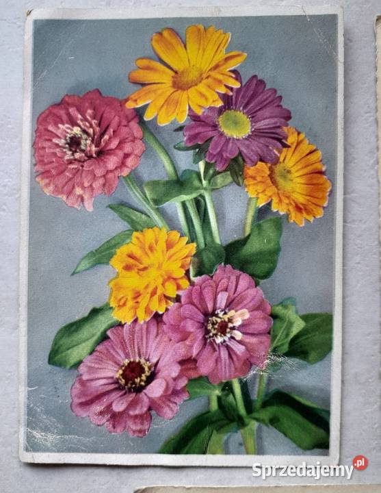 Trzy stare kartki pocztowe II wojna z okupacji w sprzedam