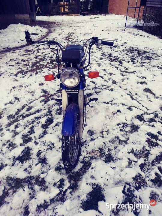Father 50 rama do komara czterosuwowy Wętfie sprzedam
