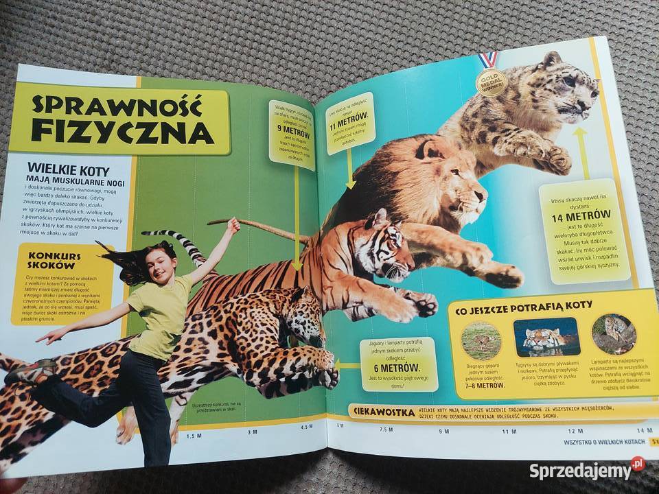 National Geographic Kids Wszystko o wielkich Kraków sprzedam