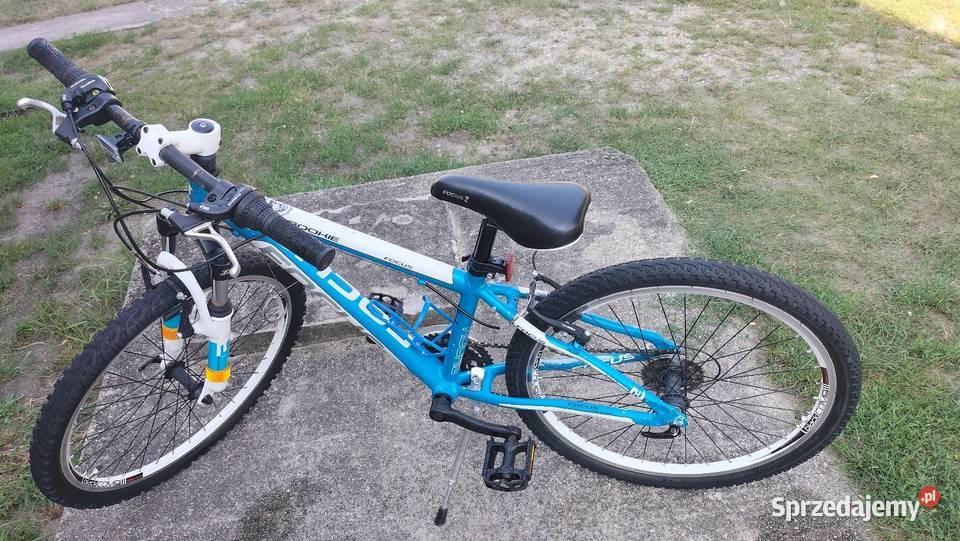 Rower Focus Rookie Raven MTB 24Revoshift ładny Chocianów sprzedam