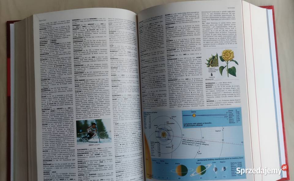 Encyklopedia powszechna i słownik jęz polskiego