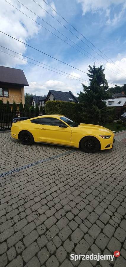 Ford Mustang 37 benzyna piękny 2015 Cisiec
