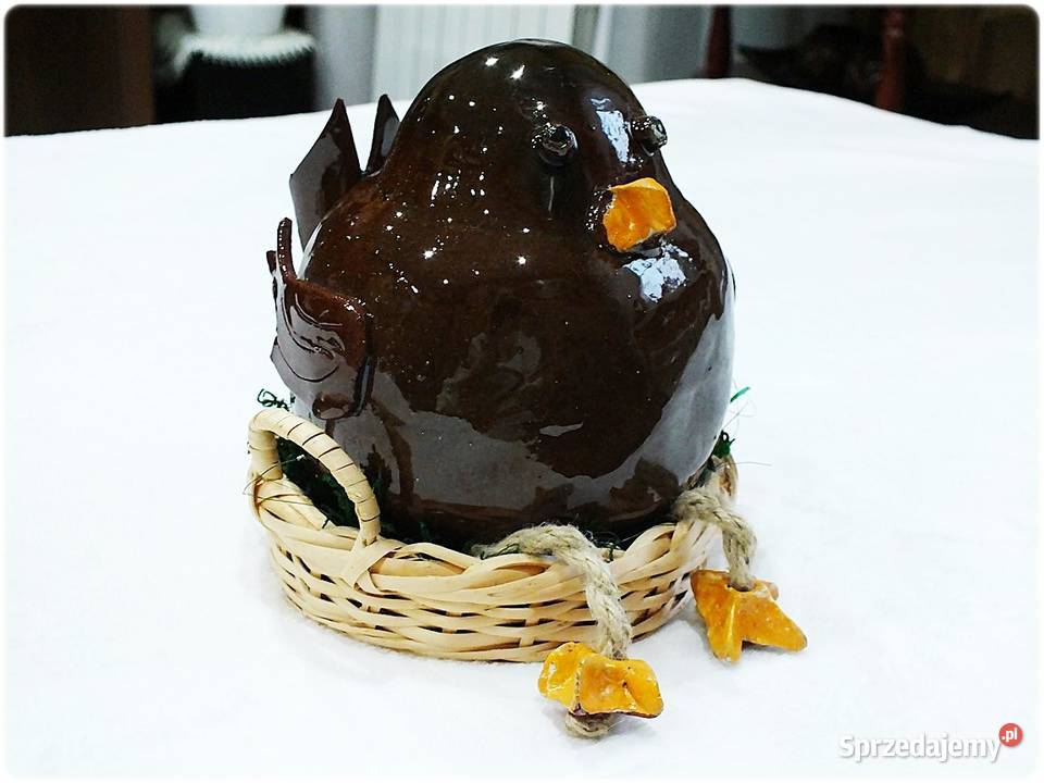 Duże grube ptaszysko Boczunio w gnieździe szuka brązowy Żary