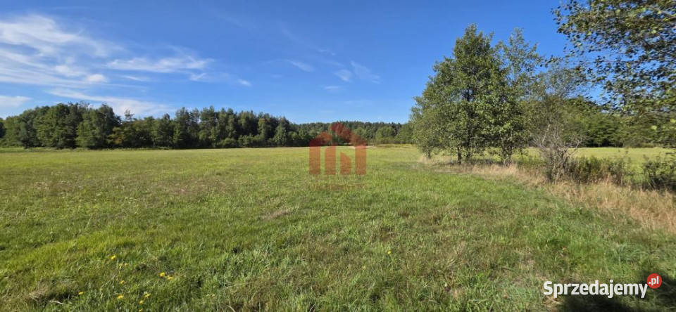 sprzedaży gruntu Sędziszów Małopolski 1600m2 1600m2
