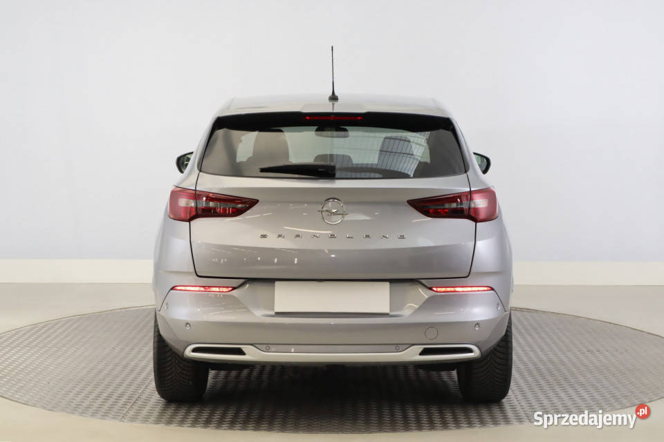 Opel Grandland 12 Turbo skórzana tapicerka Zabrze