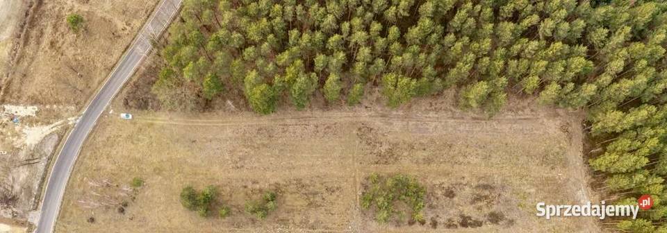 DZIAŁKA BUDOWLANA 1000 m ASFALT LAS SPOKOJNA Krawcowizna