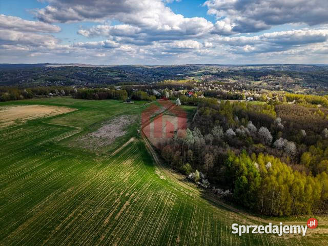 Działka 4836m2 Hadle Kańczuckie Grunty i działki podkarpackie