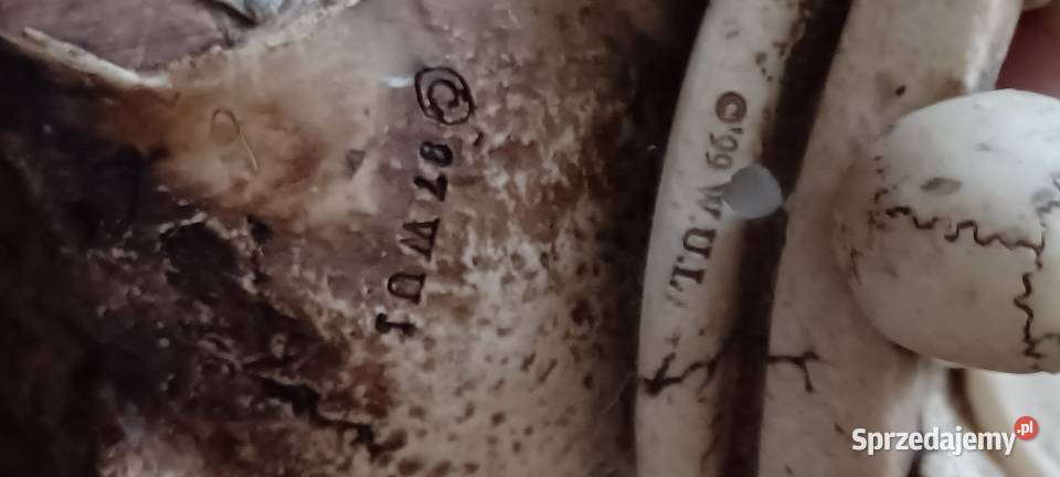 W POZNANIU KUPNO ZABYTEK SYGNATURY ZYWICA sprzedam