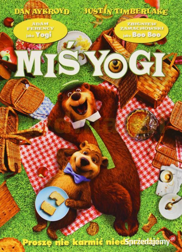 Miś Yogi animacja dzieci film familijny komedia 1 płyta Częstochowa