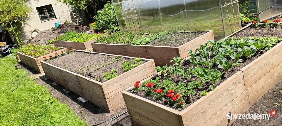 Rabata betonowa Imitacja drewna Warzywniak wielkopolskie Poznań