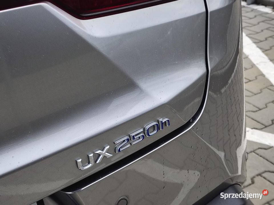 Lexus UX 2021r Skórzana tapicerka Szyberdach Rok produkcji 2021 Poznań