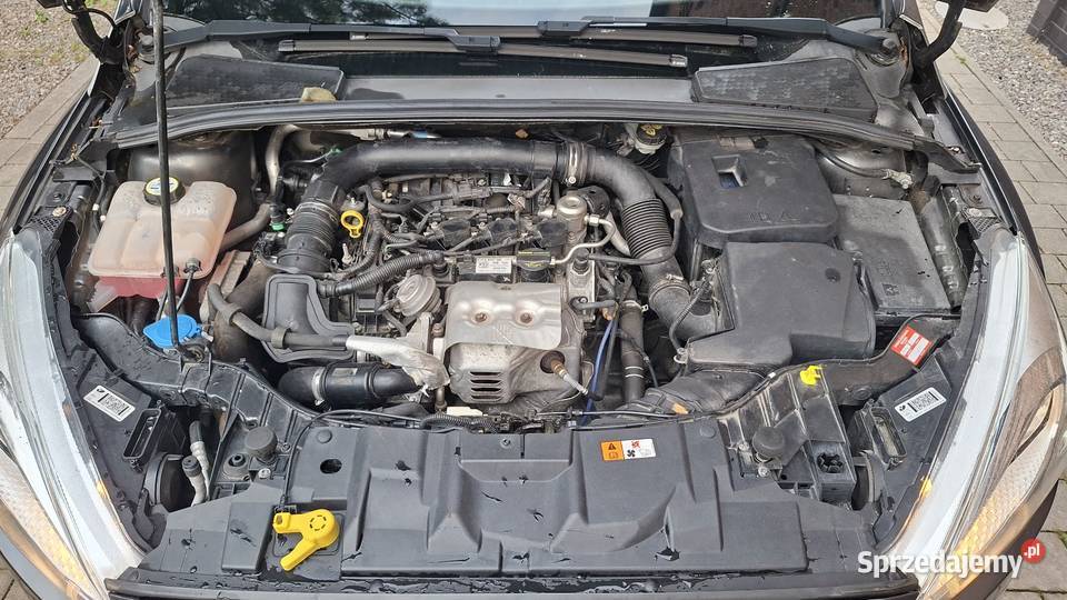 Ford Focus 10 EcoBoost SYNC Edition ASS 999cm3 Goczałkowice-Zdrój
