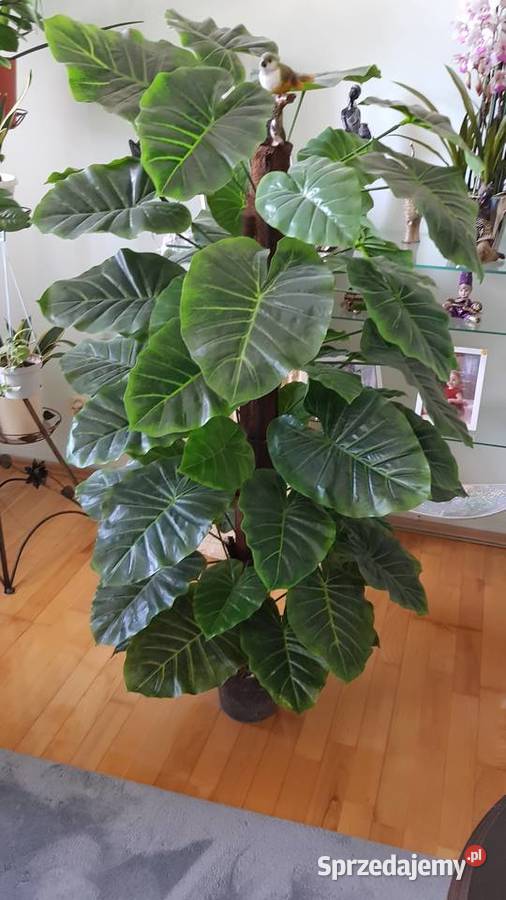 Sztuczny Filodendron Monstera Zielone śląskie Chorzów