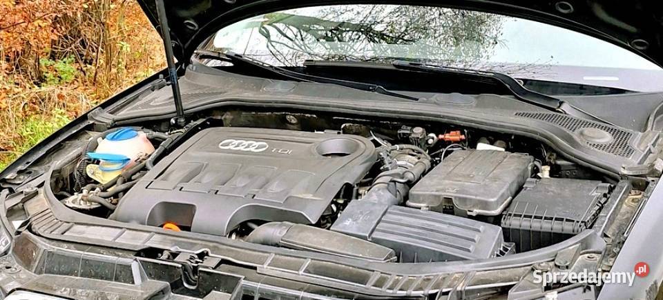 Sprzedam Audi a3 8P mały przebieg skóra navi Chełmno