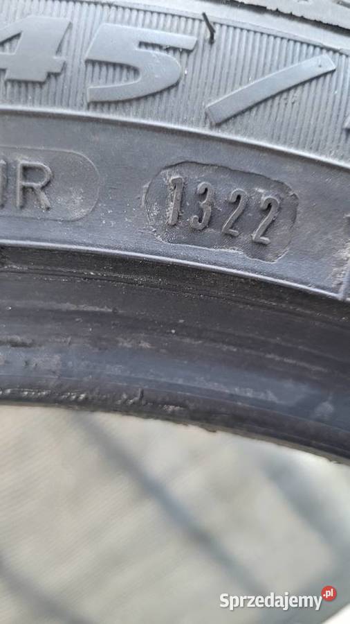 Dębica 24540 r18 wielkopolskie Pniewy