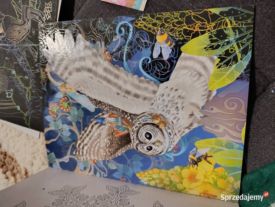 zaczarowany las 12 stron do zdrapywania i Poznań sprzedam