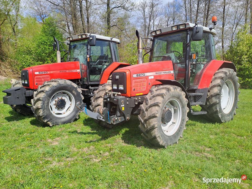 Massey Ferguson 6290 Massey Ferguson Ruda-Huta sprzedam