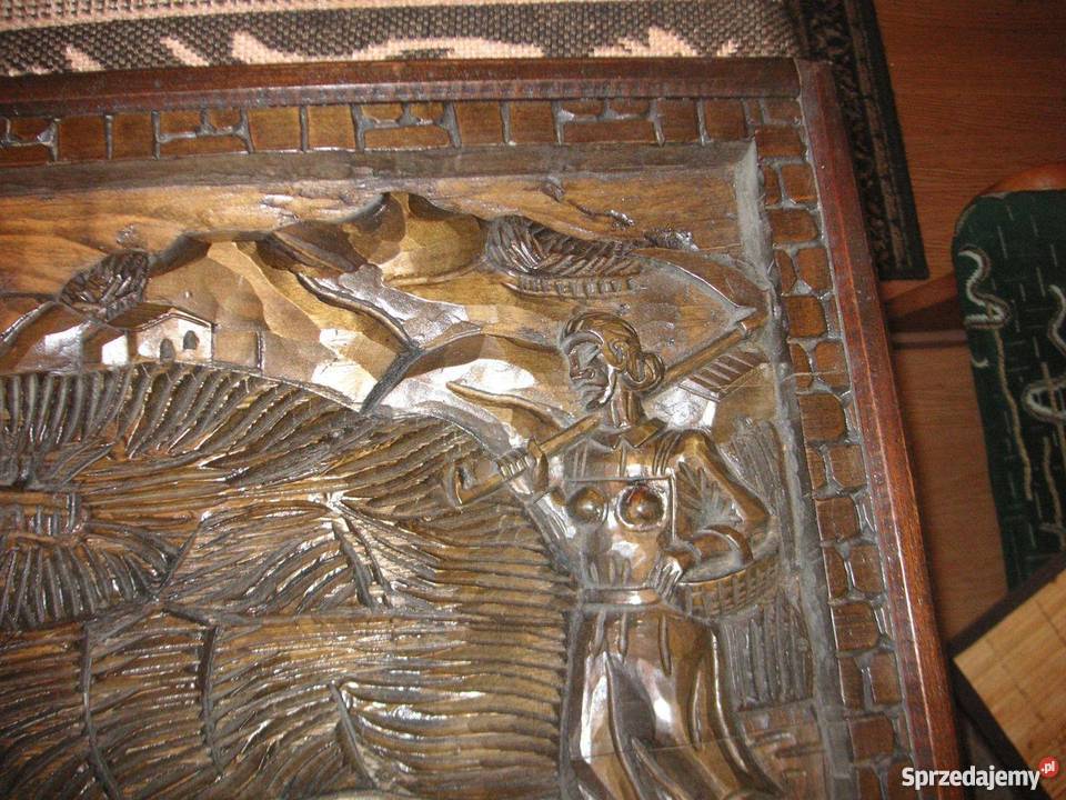 WIELKA PŁASKORZEŻBADREWNO 101x41x35 dolnośląskie sprzedam