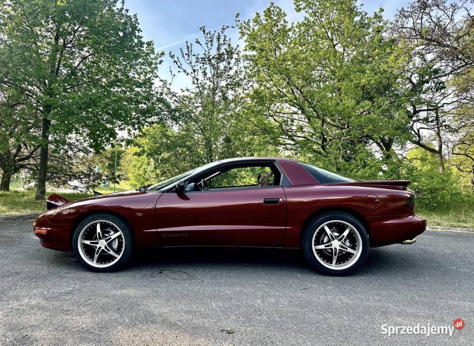 Pontiac firebird 34v6 Firebird Ostrołęka sprzedam