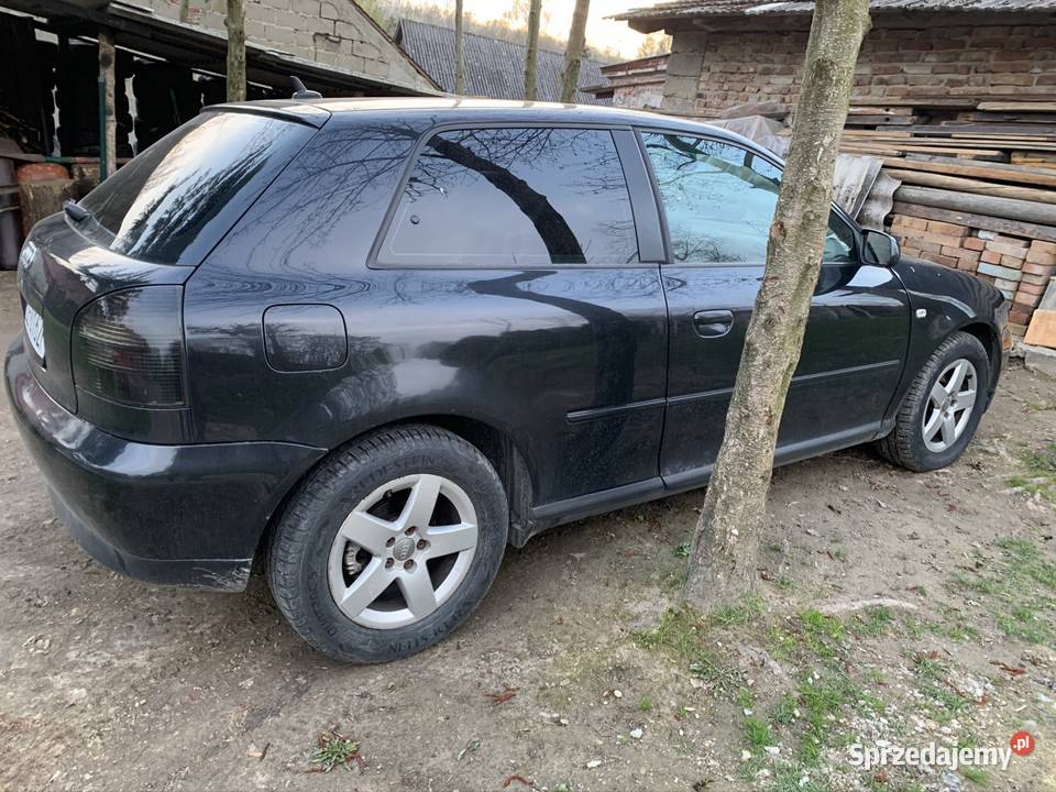 Audi A3 8l 19 TDI AXR xenon A3 Samochody osobowe Ropczyce