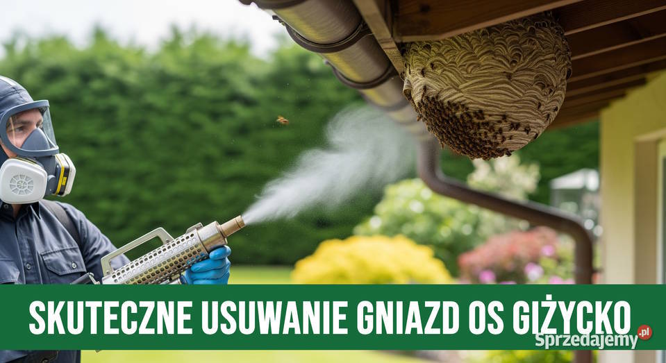 Zwalczanie Os Giżycko Usuwanie gniazd