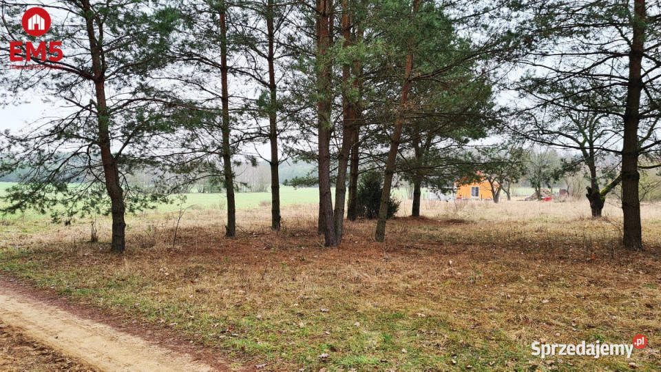 Działka Harsz 2366m2 gaz podlaskie Pieńki sprzedam