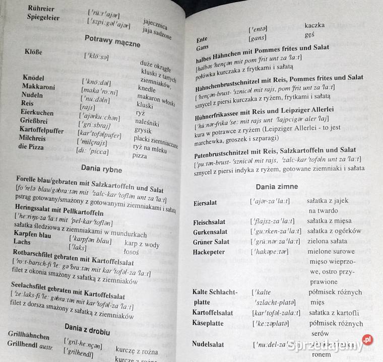 Podróżuj z niemieckim Rozmówki Alina Wójcik Chełm sprzedam