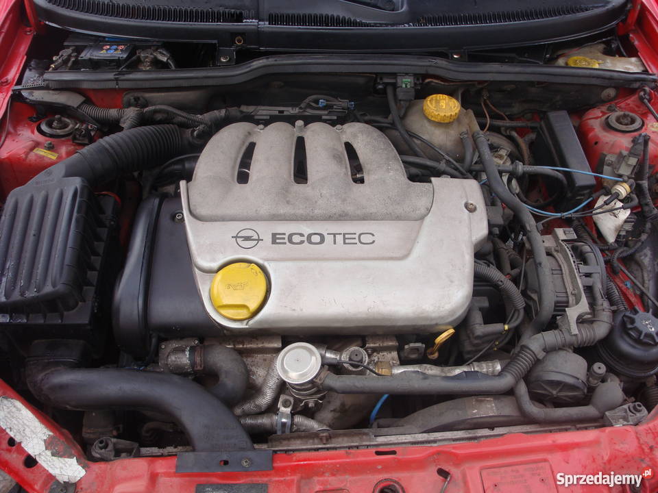 Opel Tigra 14 1996r przeb 194 klima wspoma immobilizer wielkopolskie Poznań