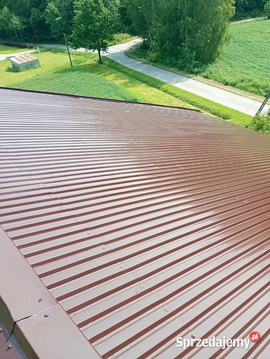 Malowanie dachów Brzostek