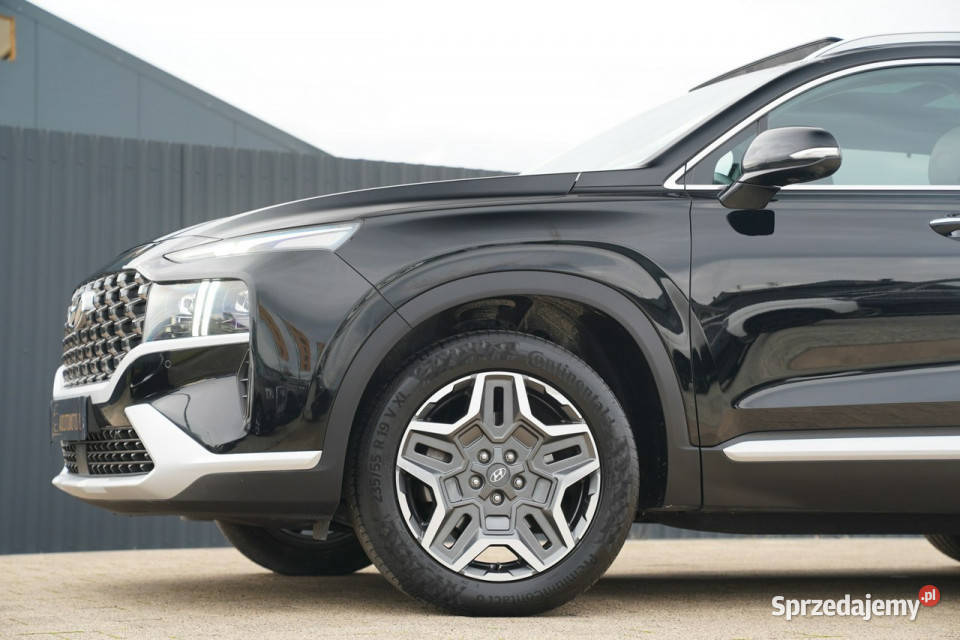 Hyundai Santa Fe FUL LED panorama skóra kamery elektrycznie ustawiane fotele Otmuchów