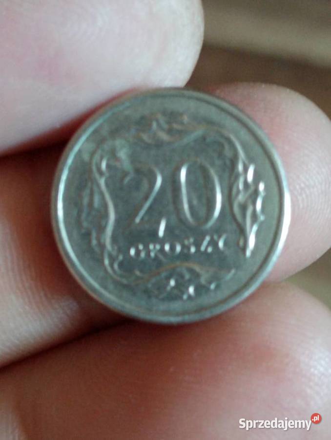 sprzedam 20 gr 2003 r sprzedam