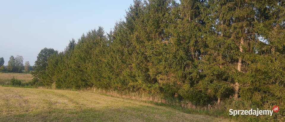 Mazury jeziorem warunki zabudowy Kruklin