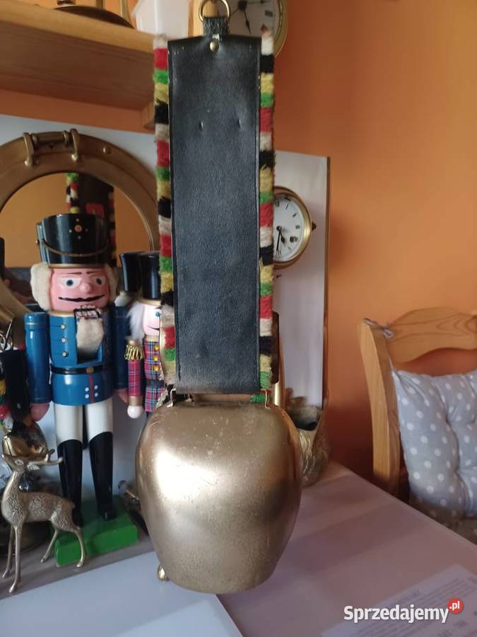 Piękny dzwonek krowiak Szwajcaria wielkopolskie Poznań