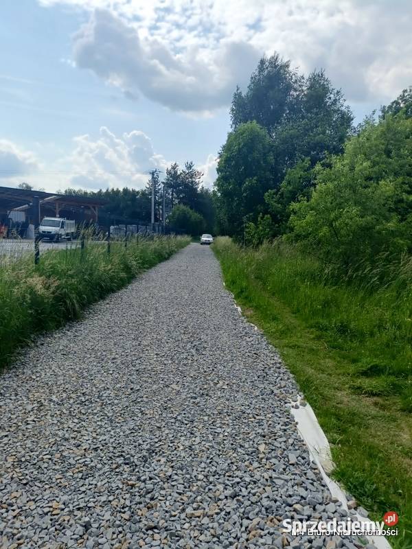 ŁADNA DZIAŁKA W ŚWIERZOWEJ POLSKIEJ 24 AR Krosno