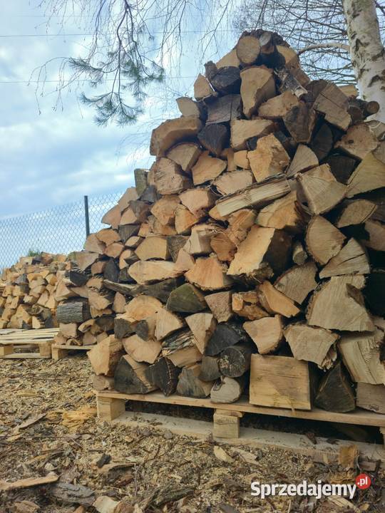 Drewno mazowieckie Radom
