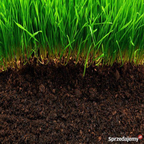 Ziemia ogrodowa humusowa trawę