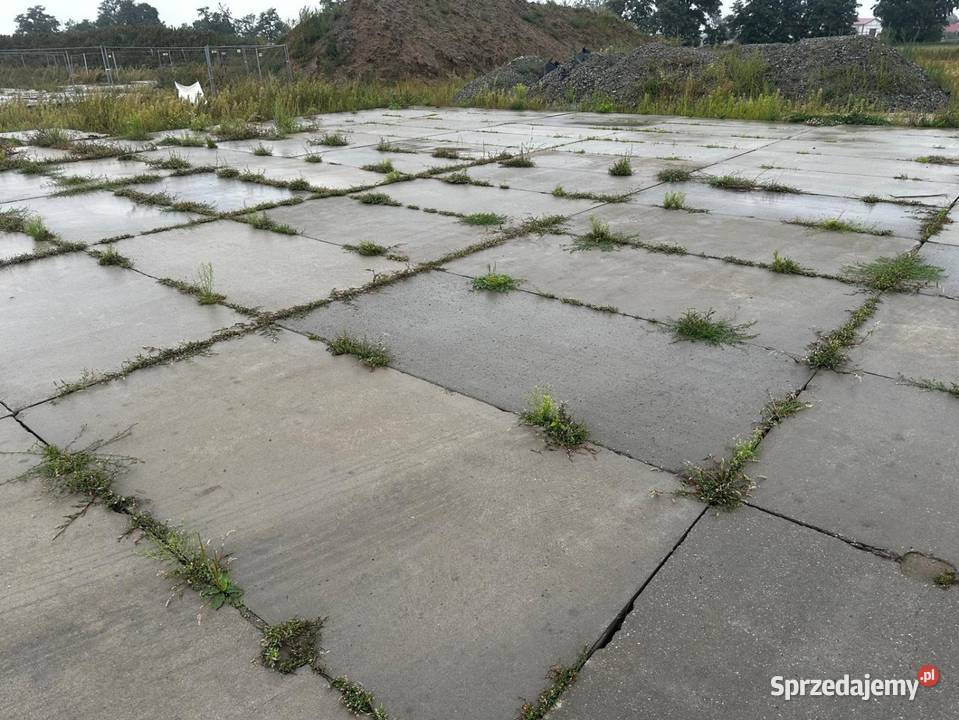 SKUP Płyty drogowe betonowe MON mury oporowe mazowieckie Warszawa