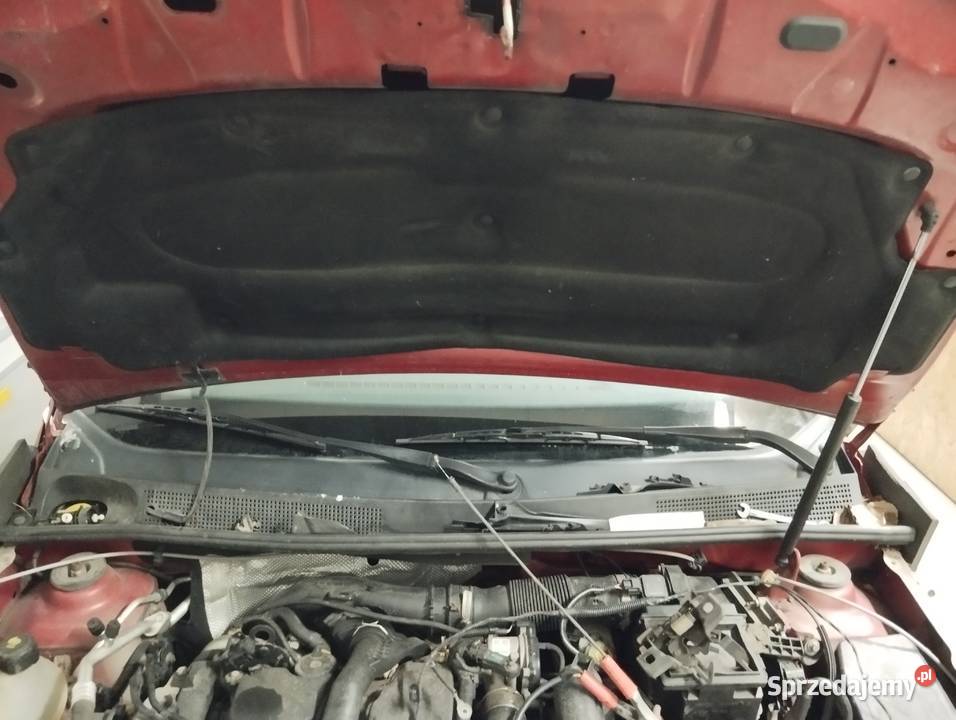 Wyciszenie maski Dacia Sandero II Rok produkcji 2014 Łask