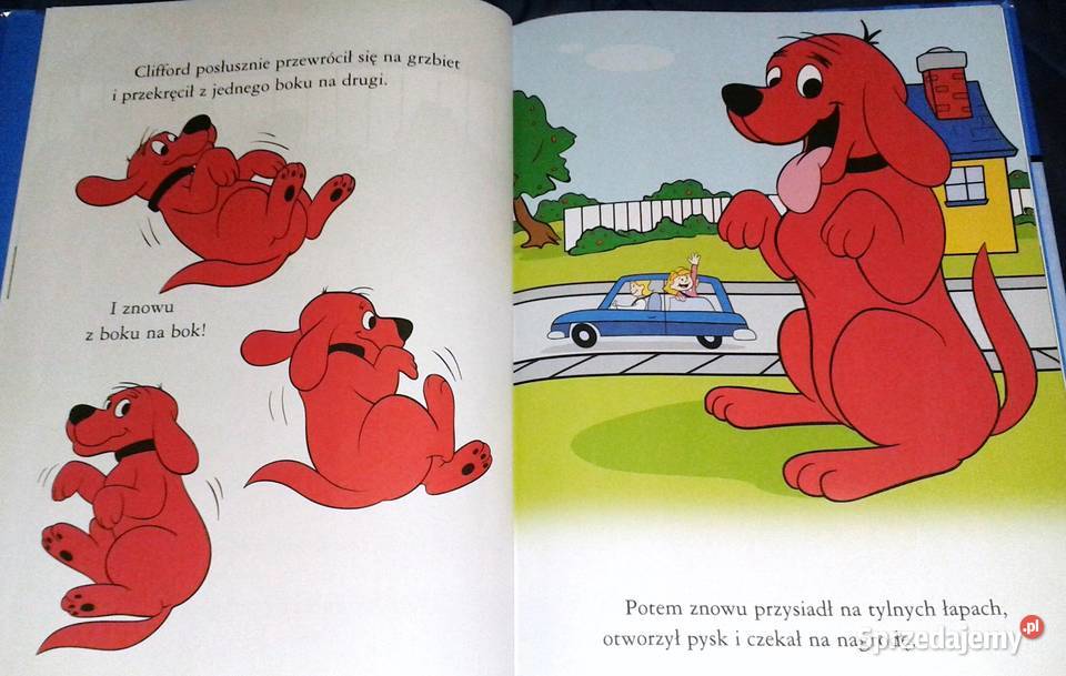 Clifforda boli brzuszek Page Josephine Norman Chełm