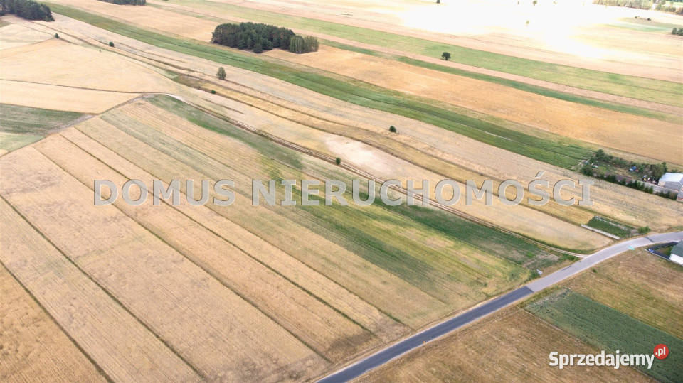 Do sprzedaży działka 4700m2 Chociszew szambo