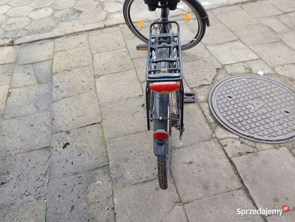 Rower damka lubelskie Parczew