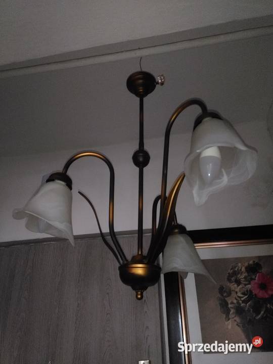 Przepiękna lampa sufitowa nieprzemijający design Katowice