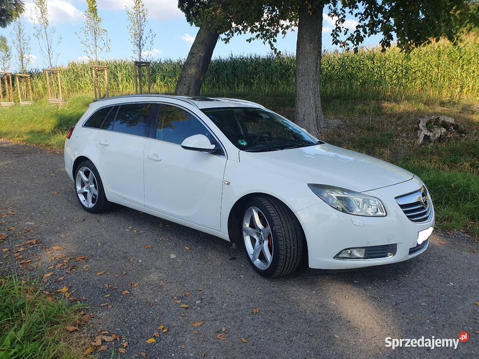 Opel Insignia 16 Turbo 180 2010 Panorama Xenon manualna Gliwice