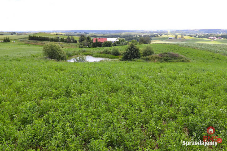 sprzedaży gruntu 4800m2 Olszanka