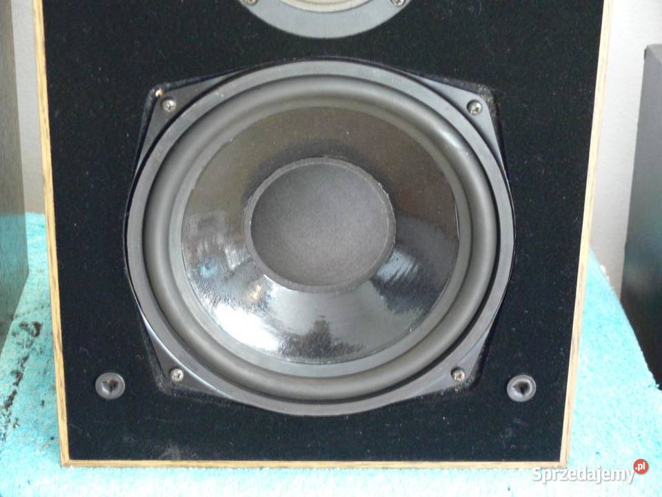 Niemieckie monitory kolumny IQ 1403 AC Vintage Jasło