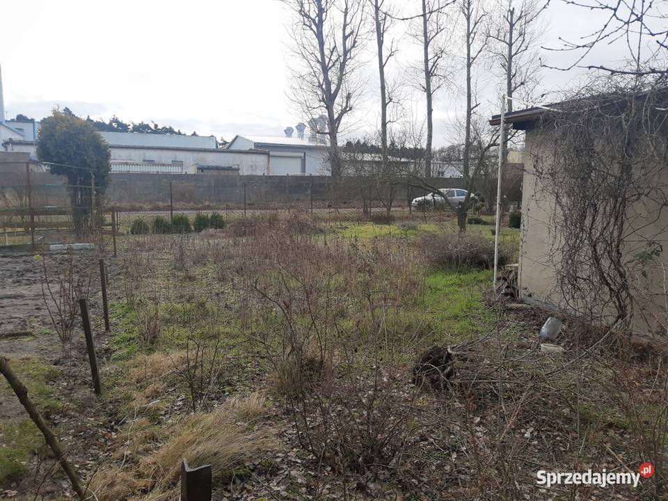 Sprzedam działkę ROD Rawicz Złocie rekreacyjna wielkopolskie