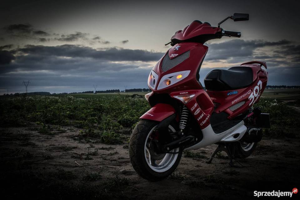 Peugeot Speedfight 2 307 wrc kujawsko-pomorskie